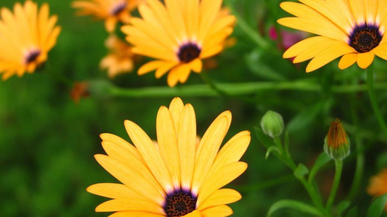 Images 1280x720 2