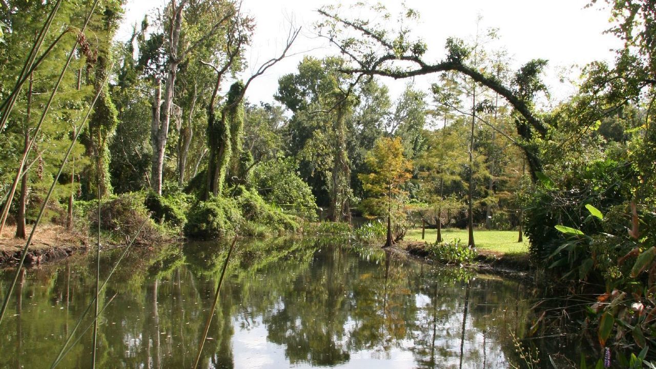 Images 1280x720 1