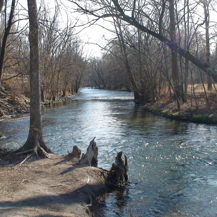 Image 10