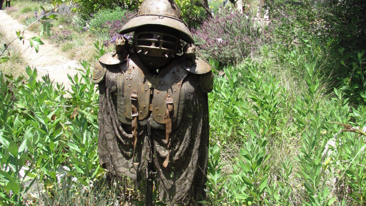 Image 15