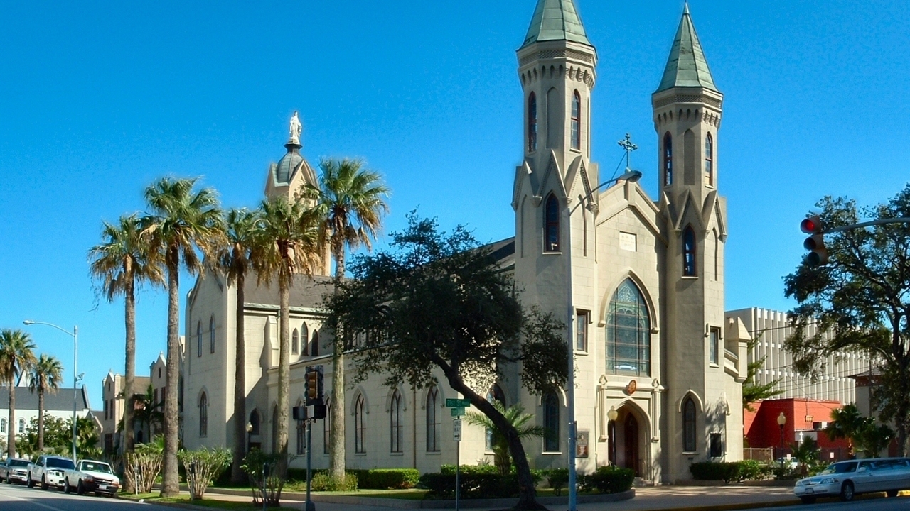 Image 6