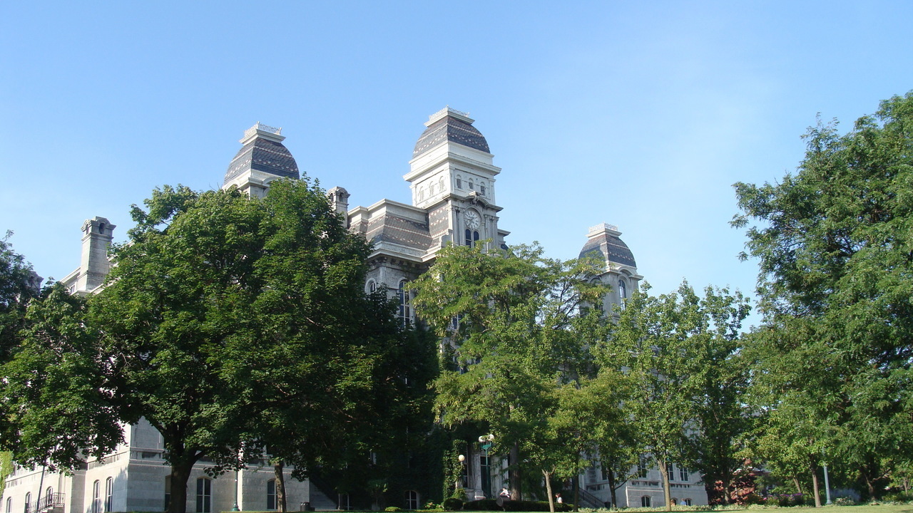 Image 6