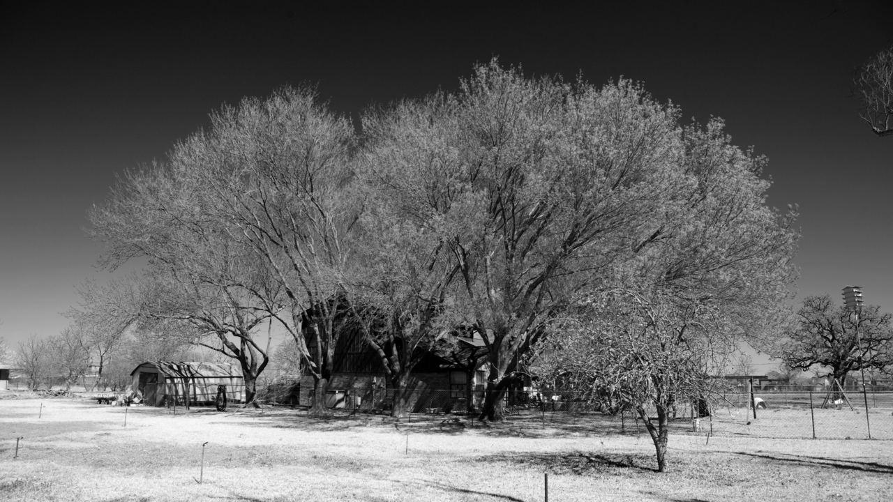 Image 15