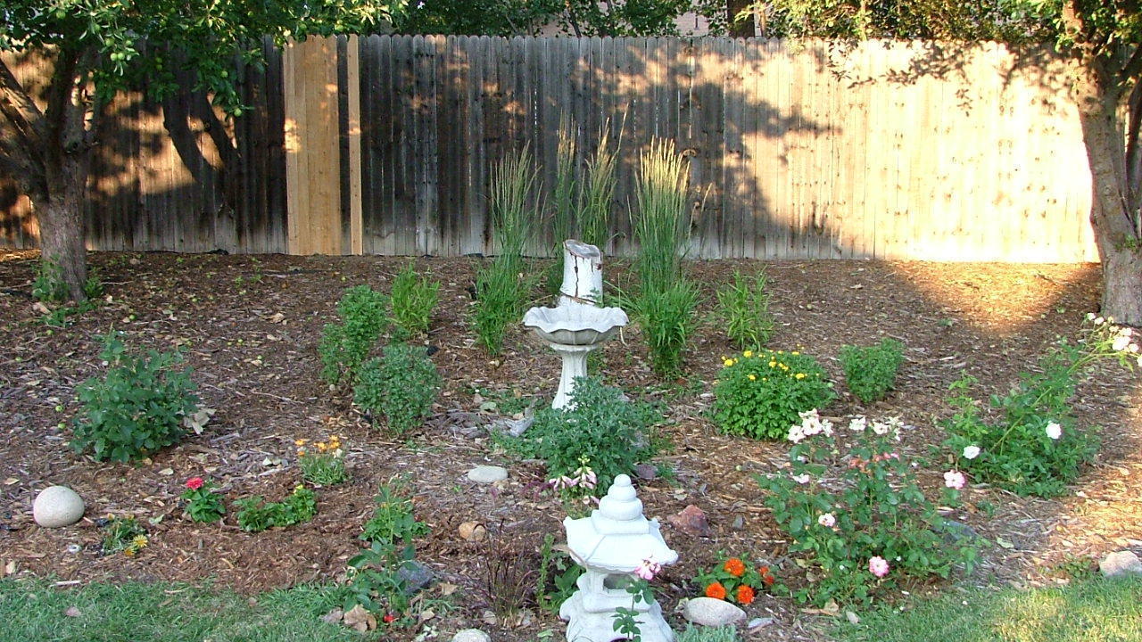 Image 10