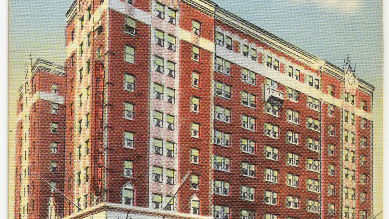 Image 7