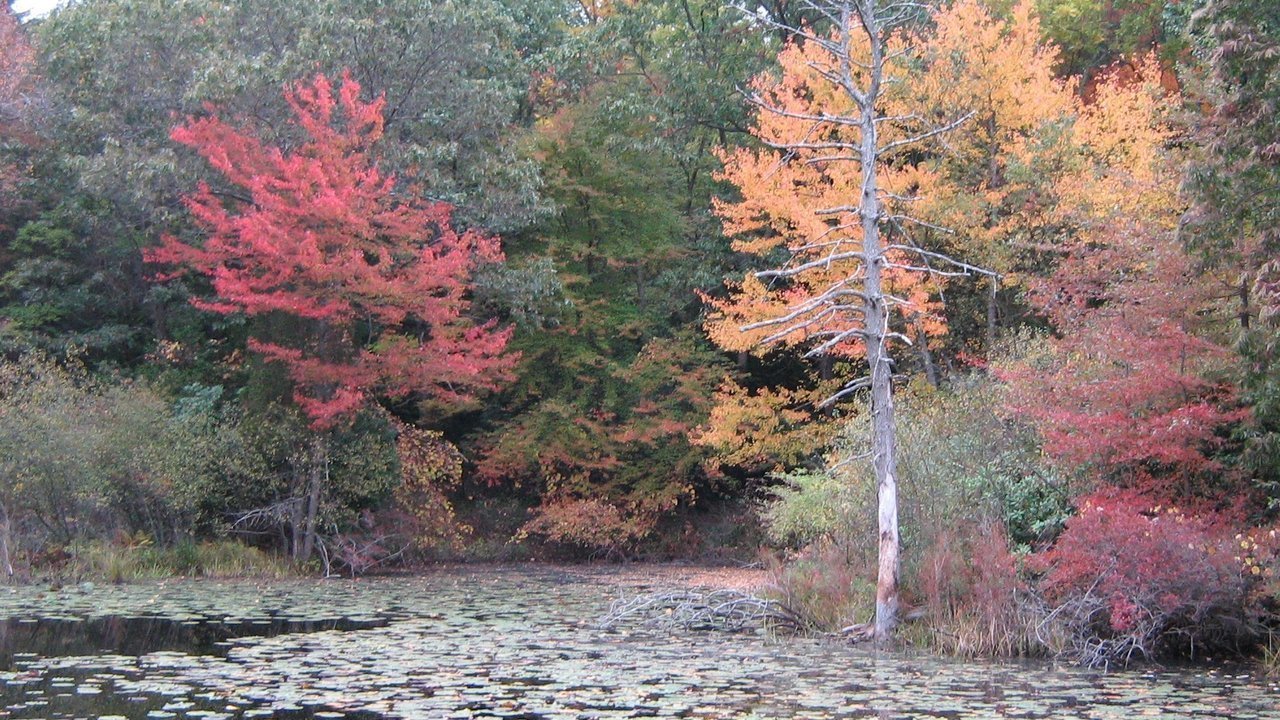 Images 1280x720 1