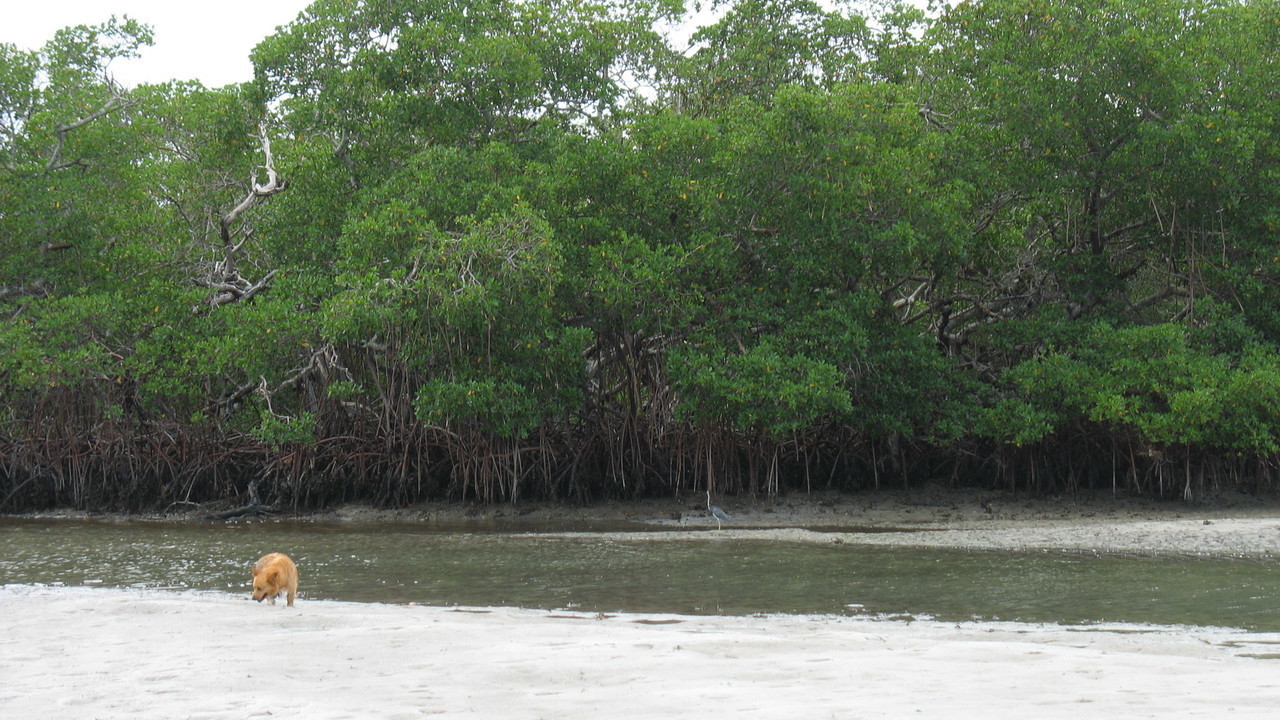 Image 9