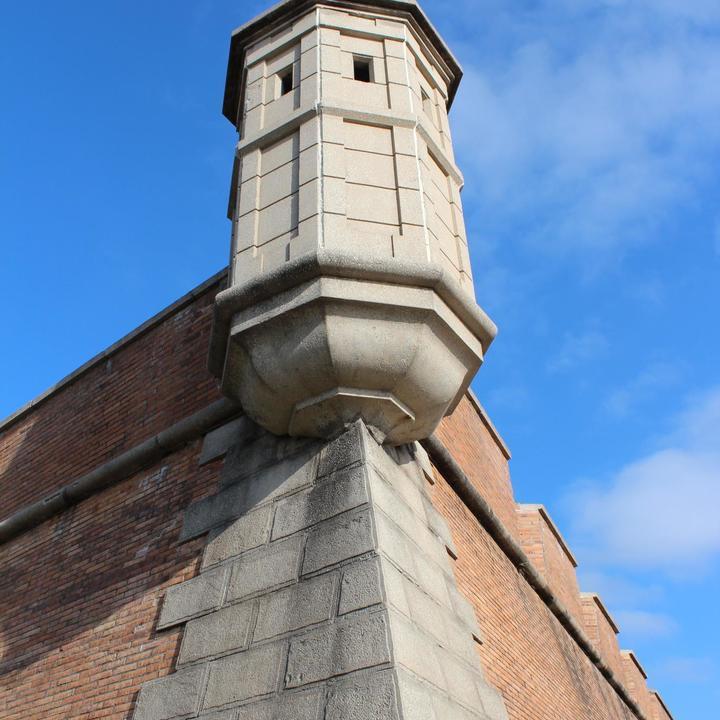 Image 21