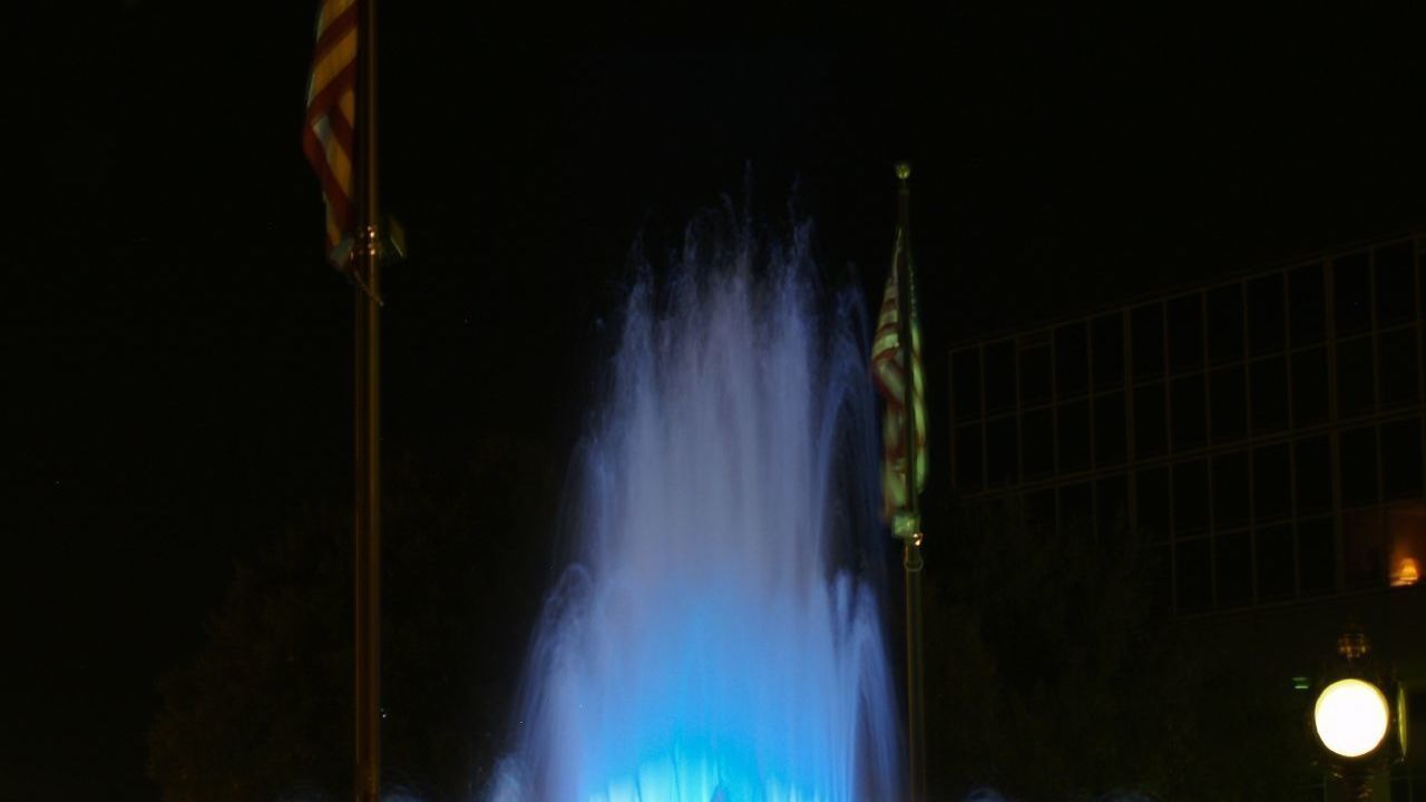 Image 15