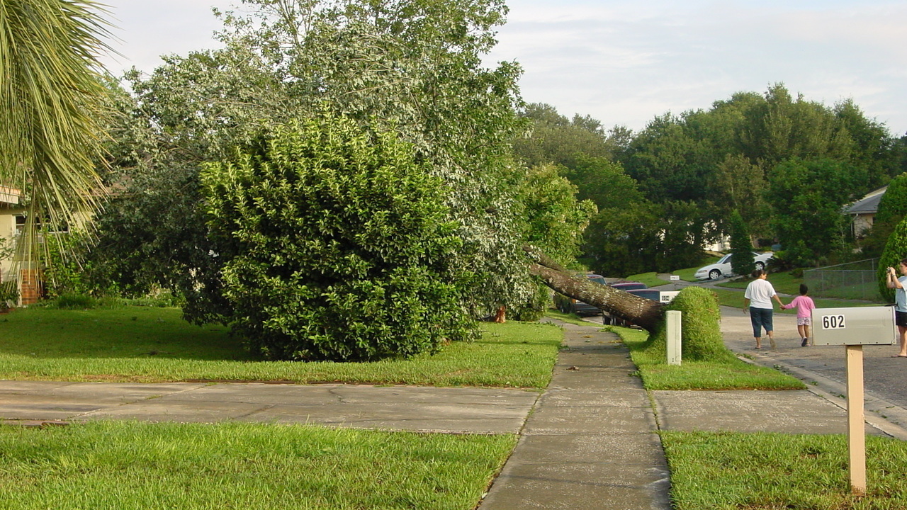 Image 15