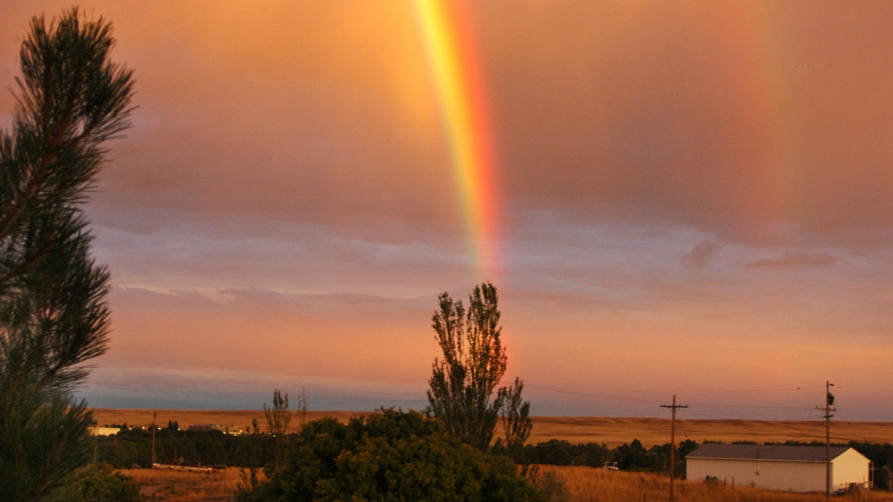Image 15