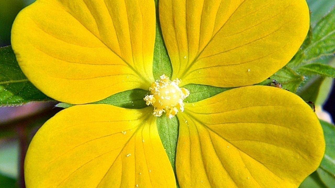 Images 1280x720 4