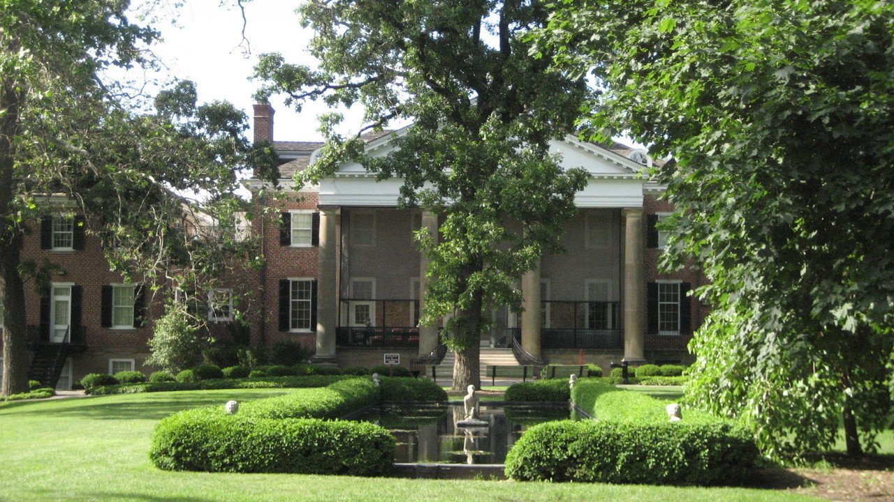 Image 8