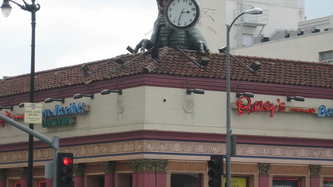 Image 5