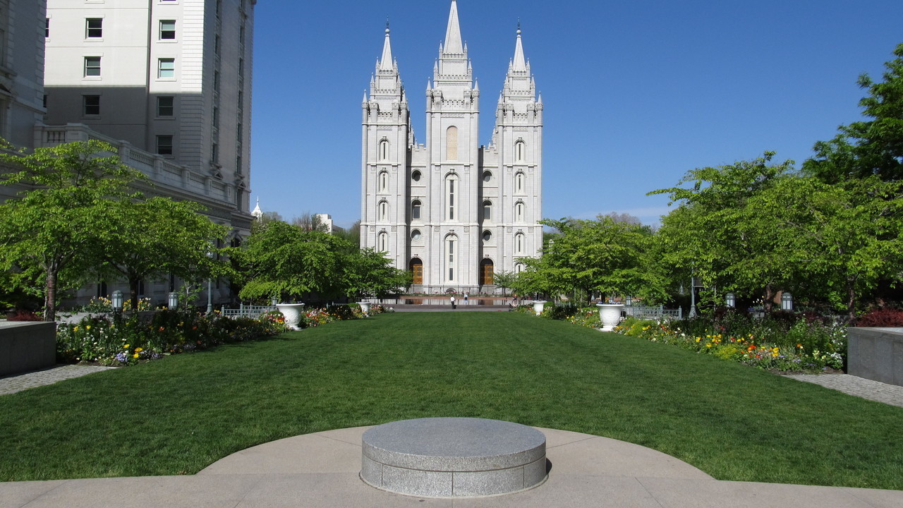 Image 6