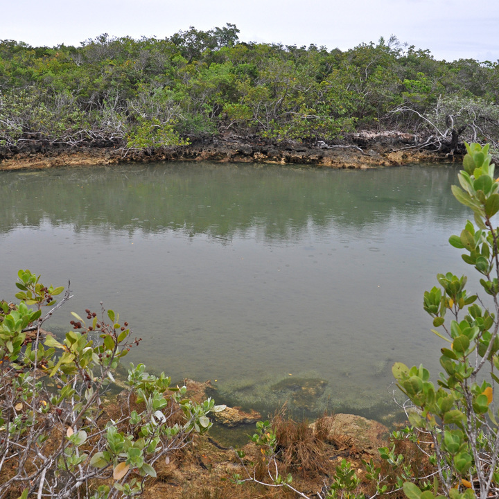 Image 25