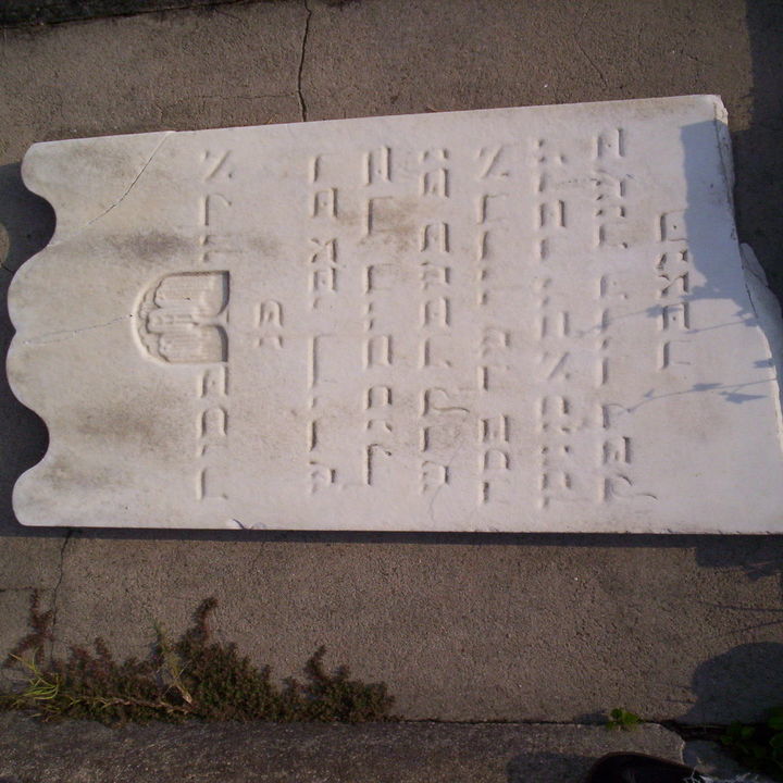 Image 23