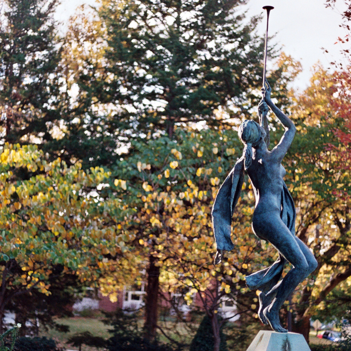 Image 21