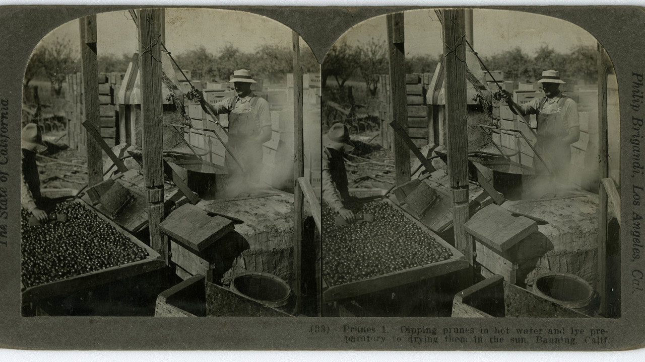 Image 31