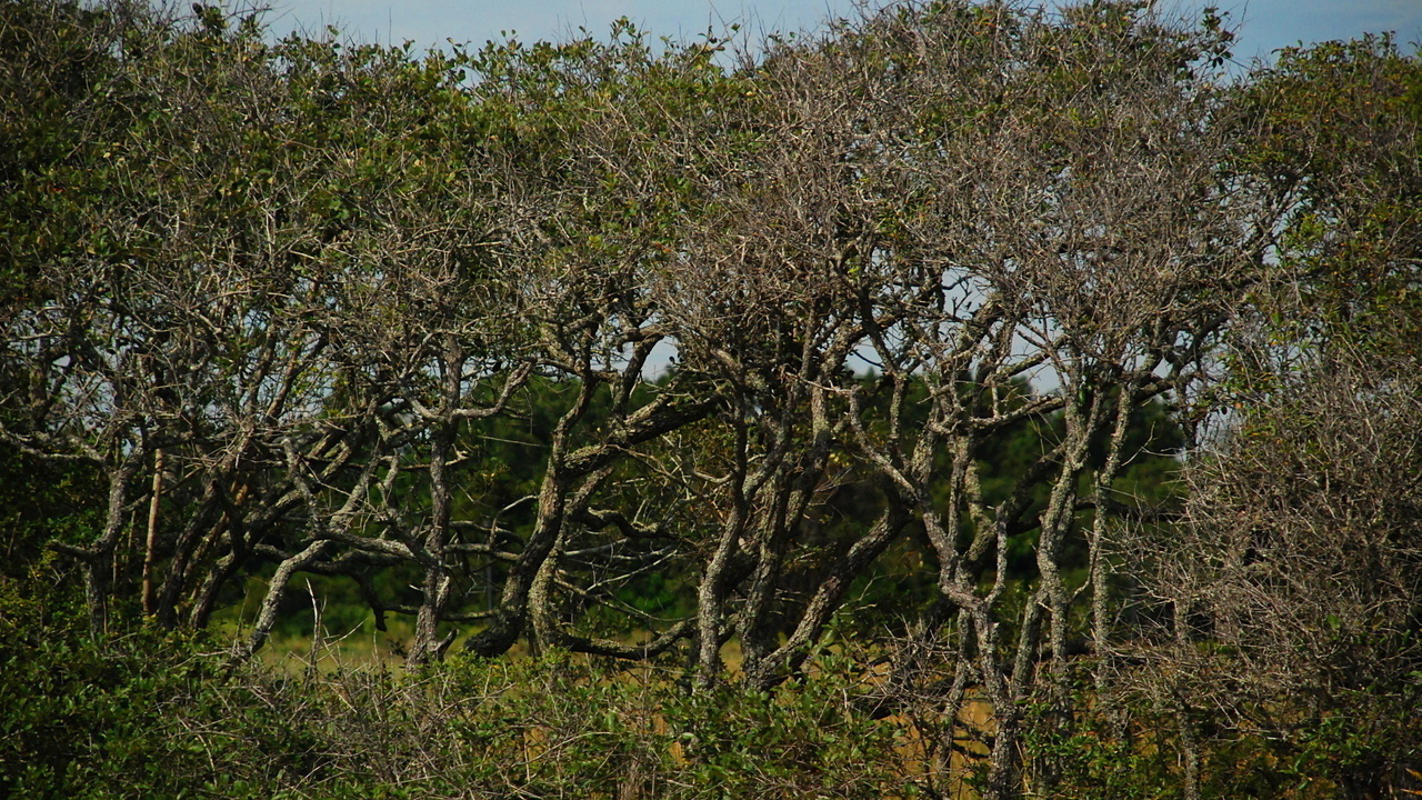 Images 1280x720 2