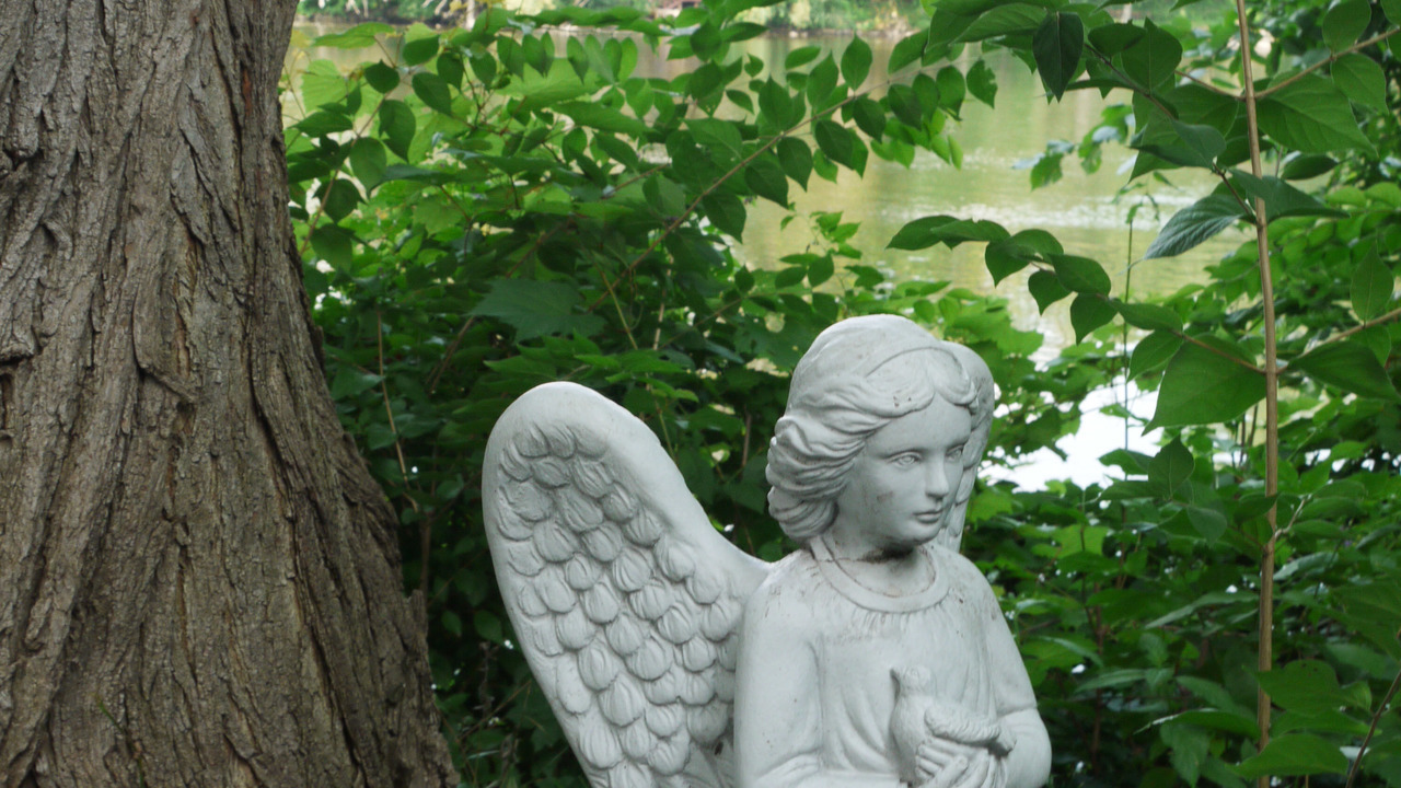 Image 15