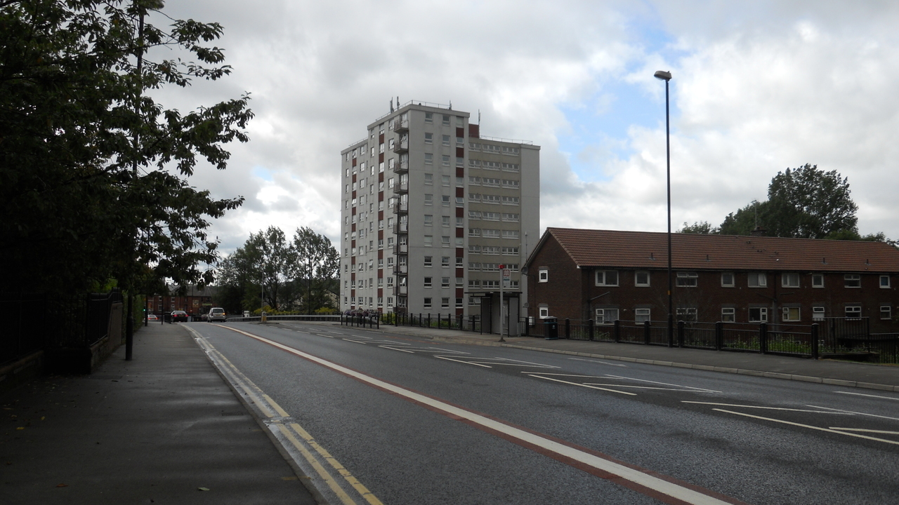 Image 7