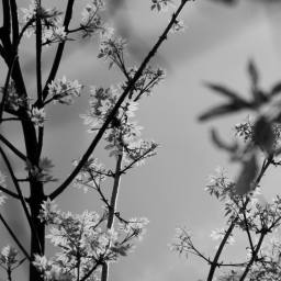 Image 16