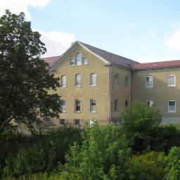 Image 8