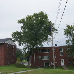 Image 9