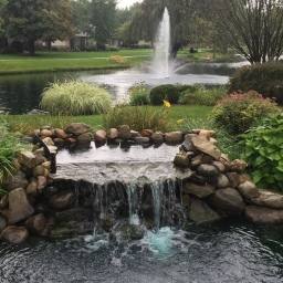 Image 15