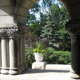 Image 8