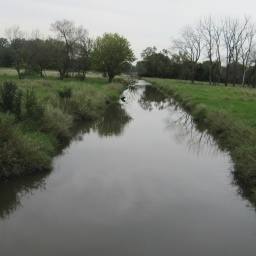 Image 15