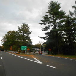 Image 17