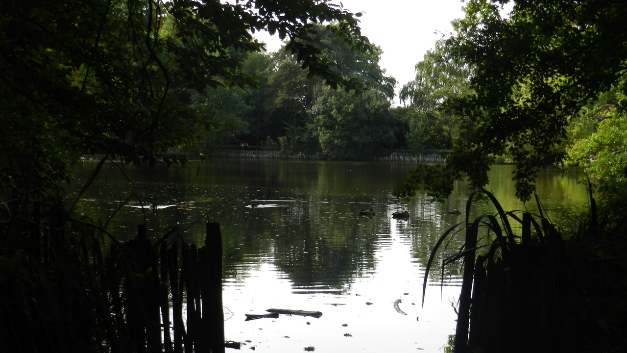 Image 11