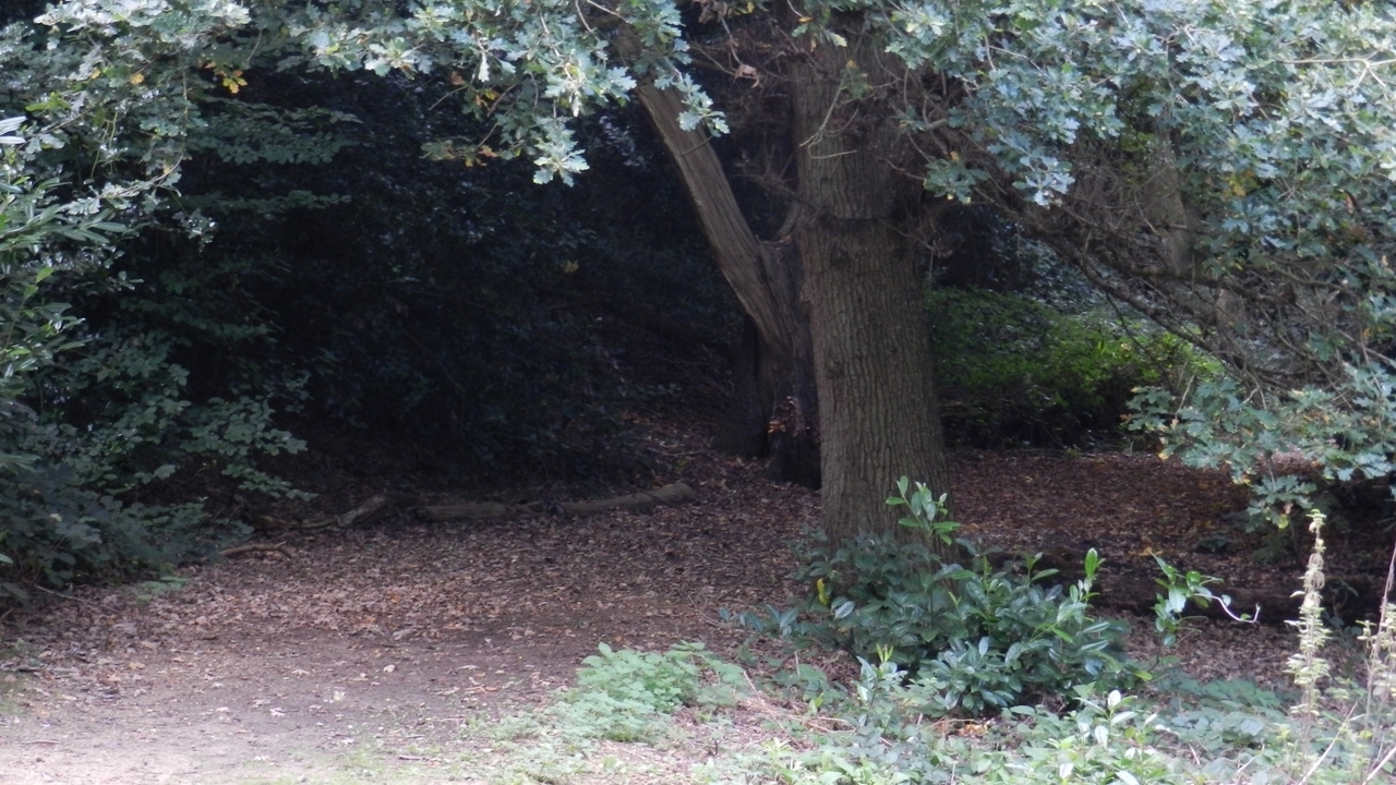 Image 10