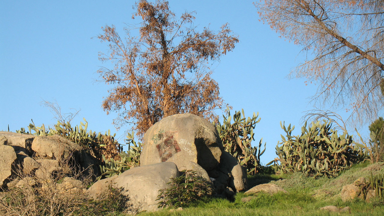 Image 1