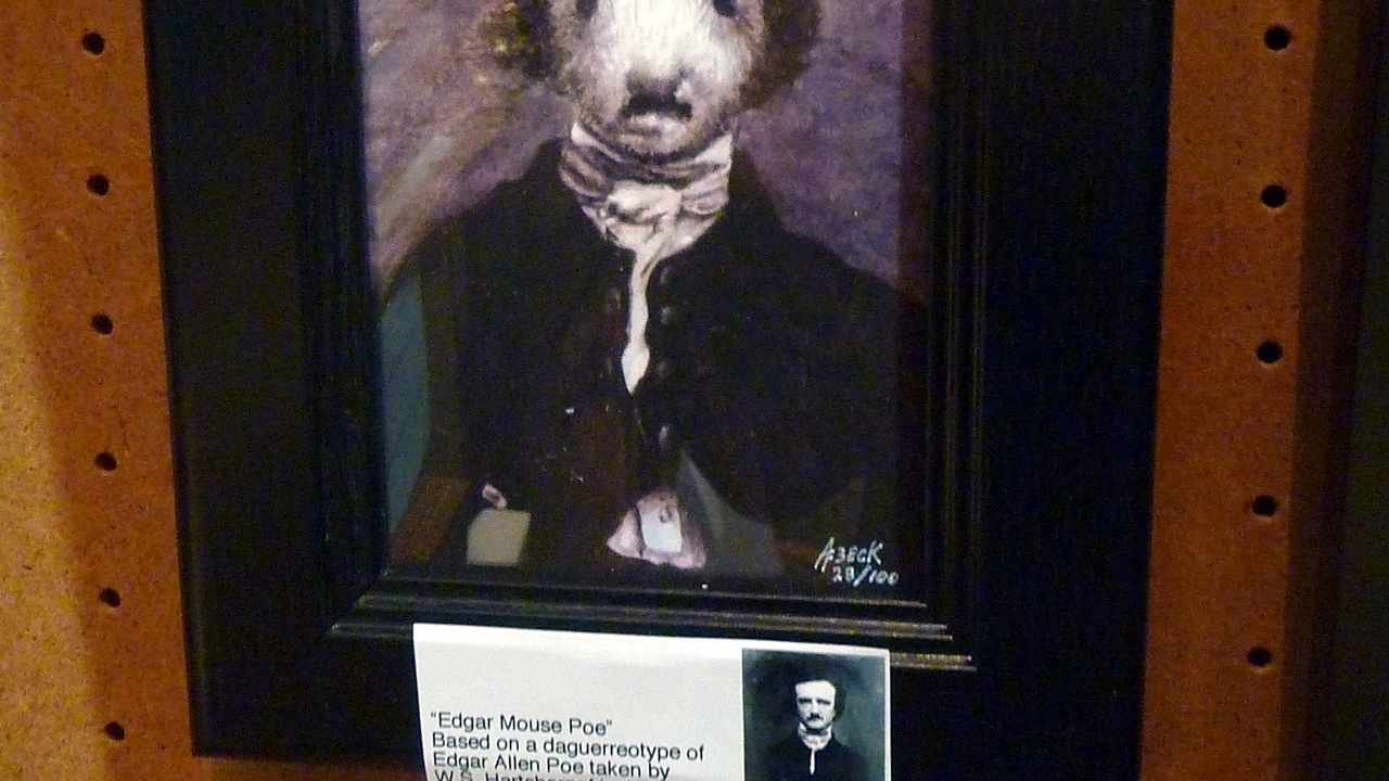 Image 9