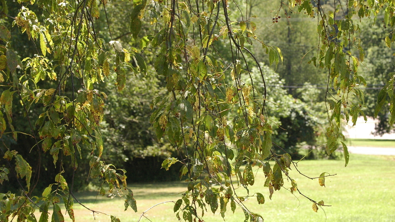 Images 1280x720 2