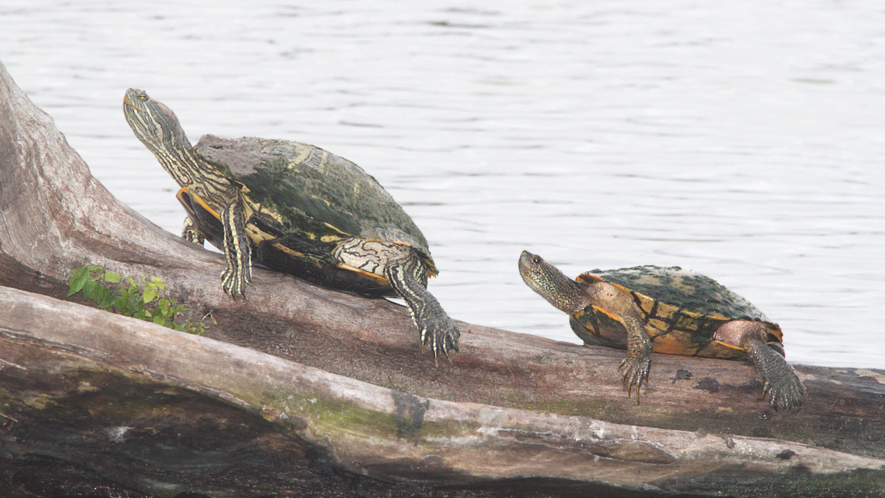 Images 1280x720 1