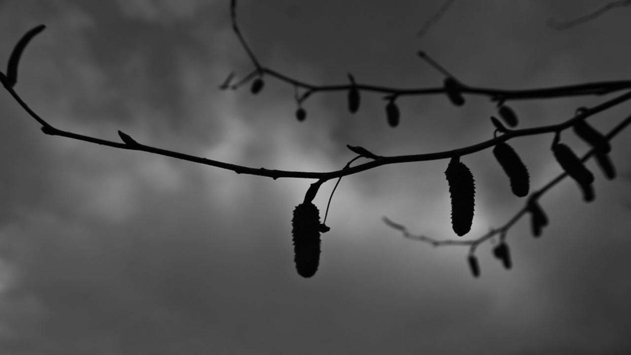 Images 1280x720 2