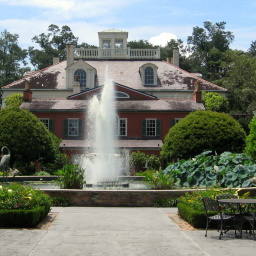 Image 7