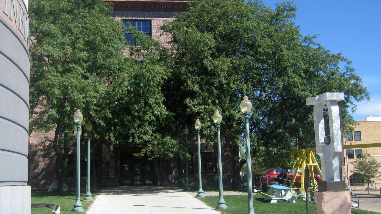 Image 5