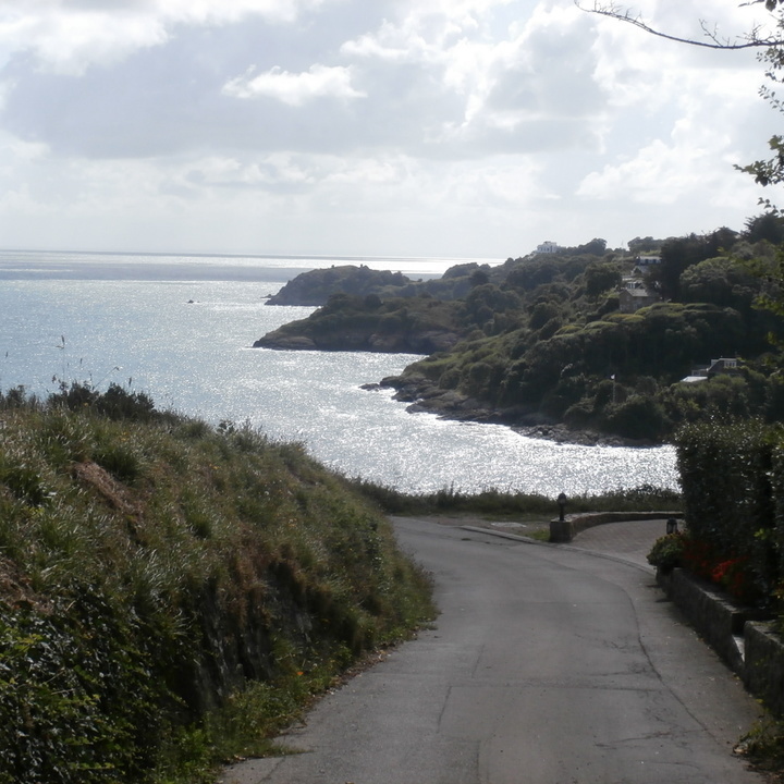 Image 4