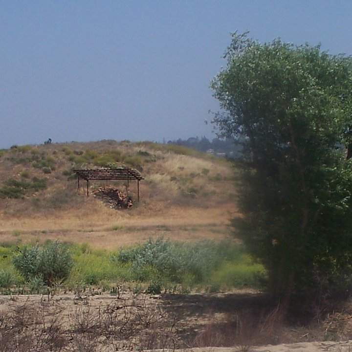 Image 21