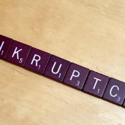 Image 32