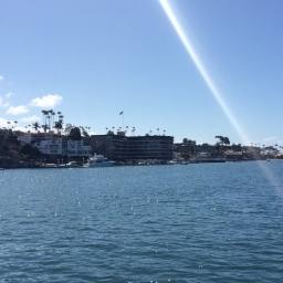 Image 15