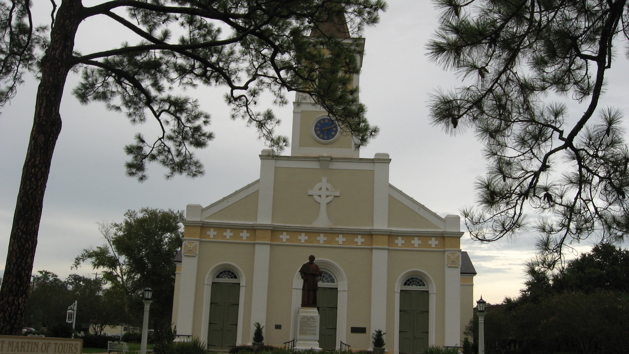 Image 8