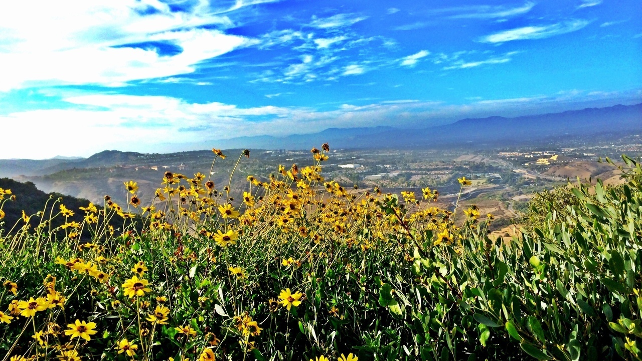 Image 15