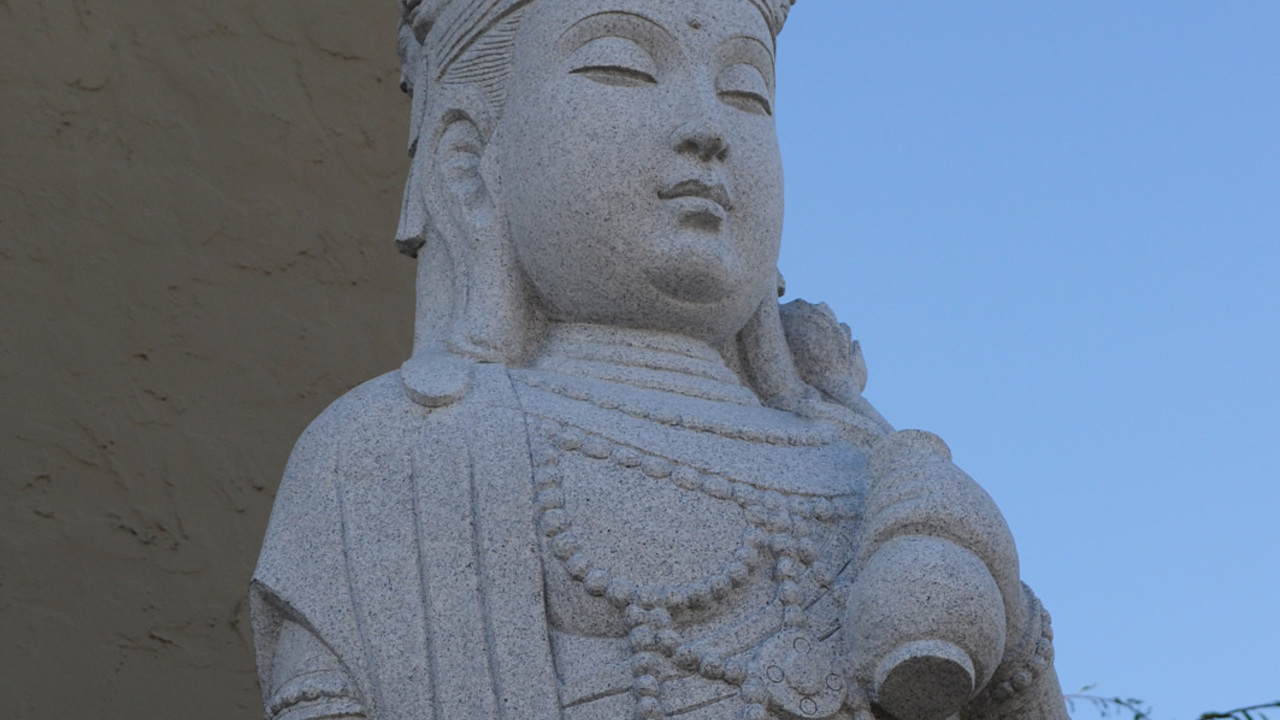 Image 16