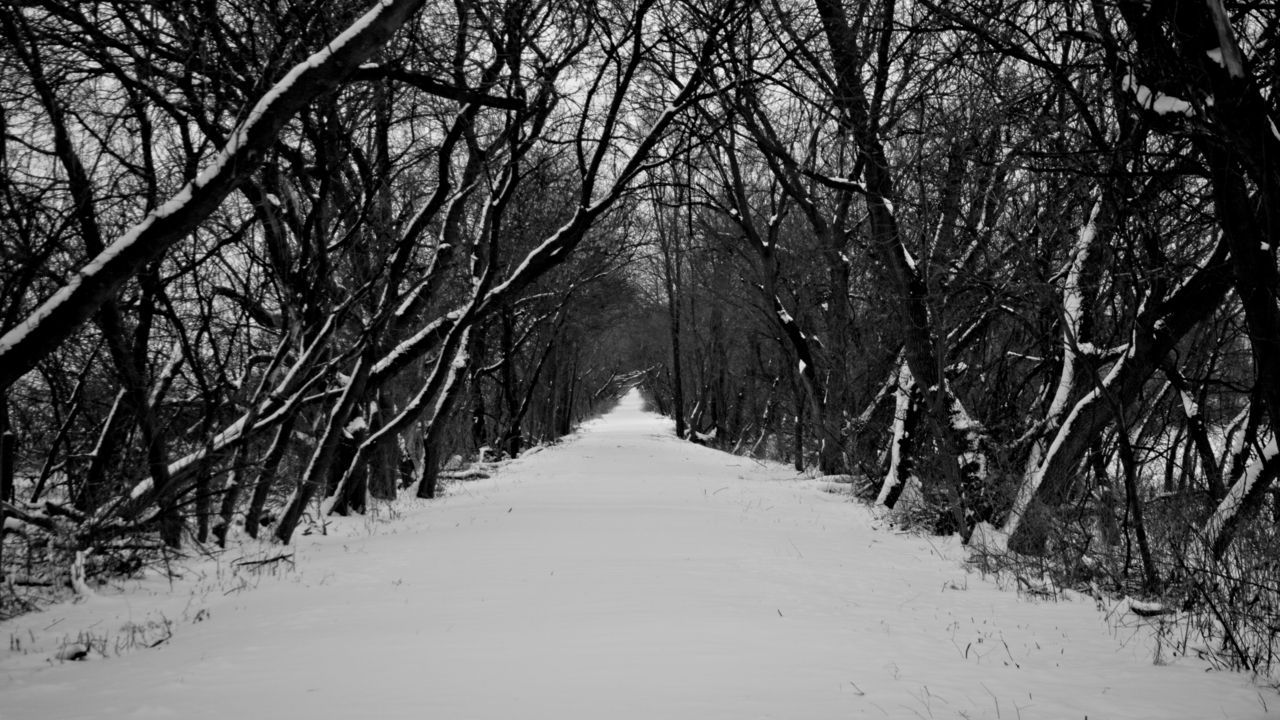 Images 1280x720 1